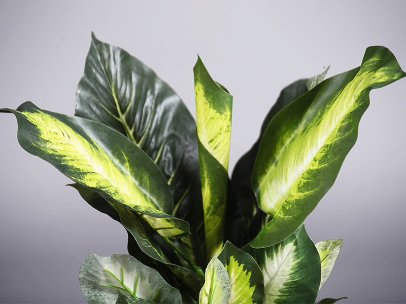 artificial leafy plant