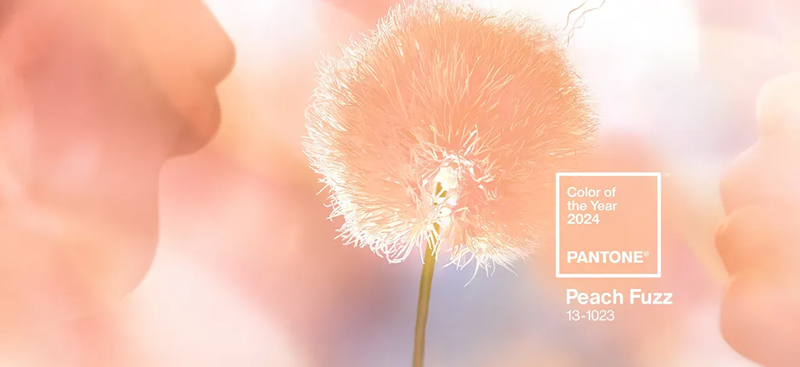 Pantone Colour of the year image - Peach Fuzz
