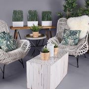 Plant – Grass Planter