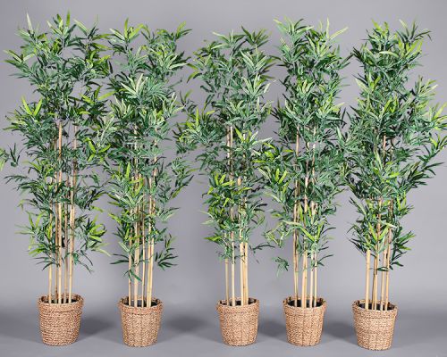 Rattan Pot For Plants