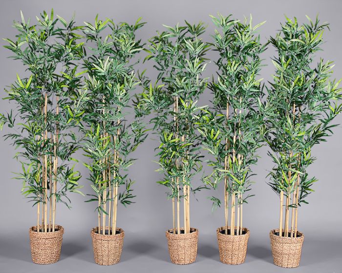 Rattan Pot For Plants