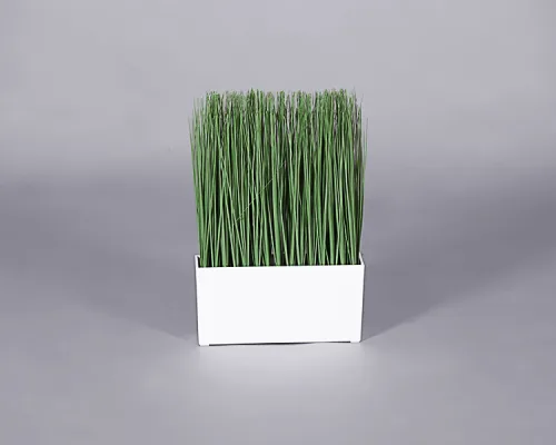 Plant – Grass Planter