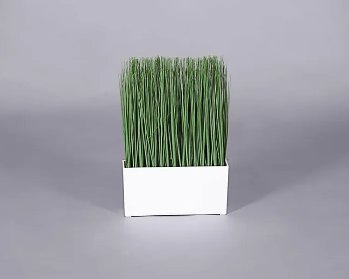 Plant – Grass Planter