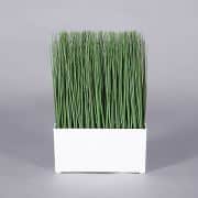 Plant – Grass Planter