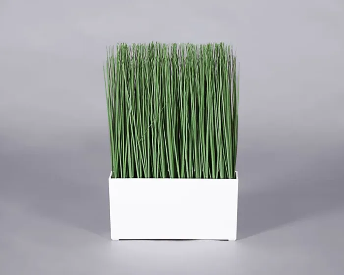 Plant – Grass Planter