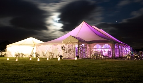 traditional-marquee-night-purple