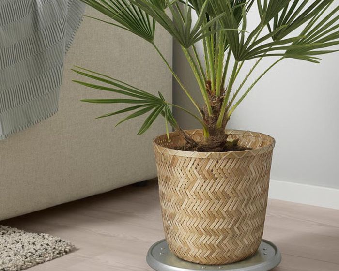 Bamboo pot for plants